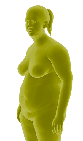 simu-1.png