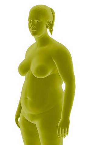 simu-2.png